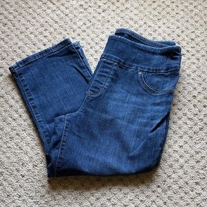 Lee Slim Sculpting Mid Rise Slim Fit Crop Jean Size 10